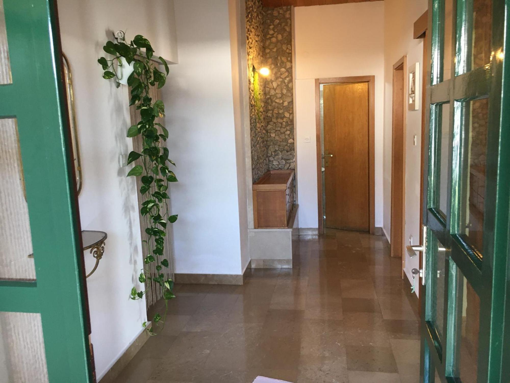 Apartments Leut Drašnice Extérieur photo