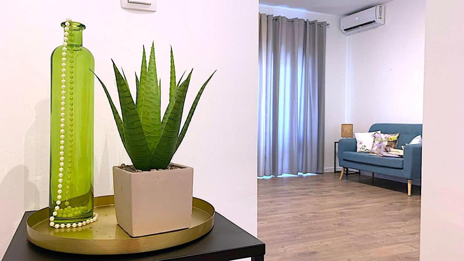 Apartments Leut Drašnice Extérieur photo