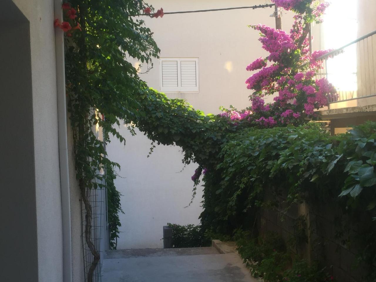 Apartments Leut Drašnice Extérieur photo