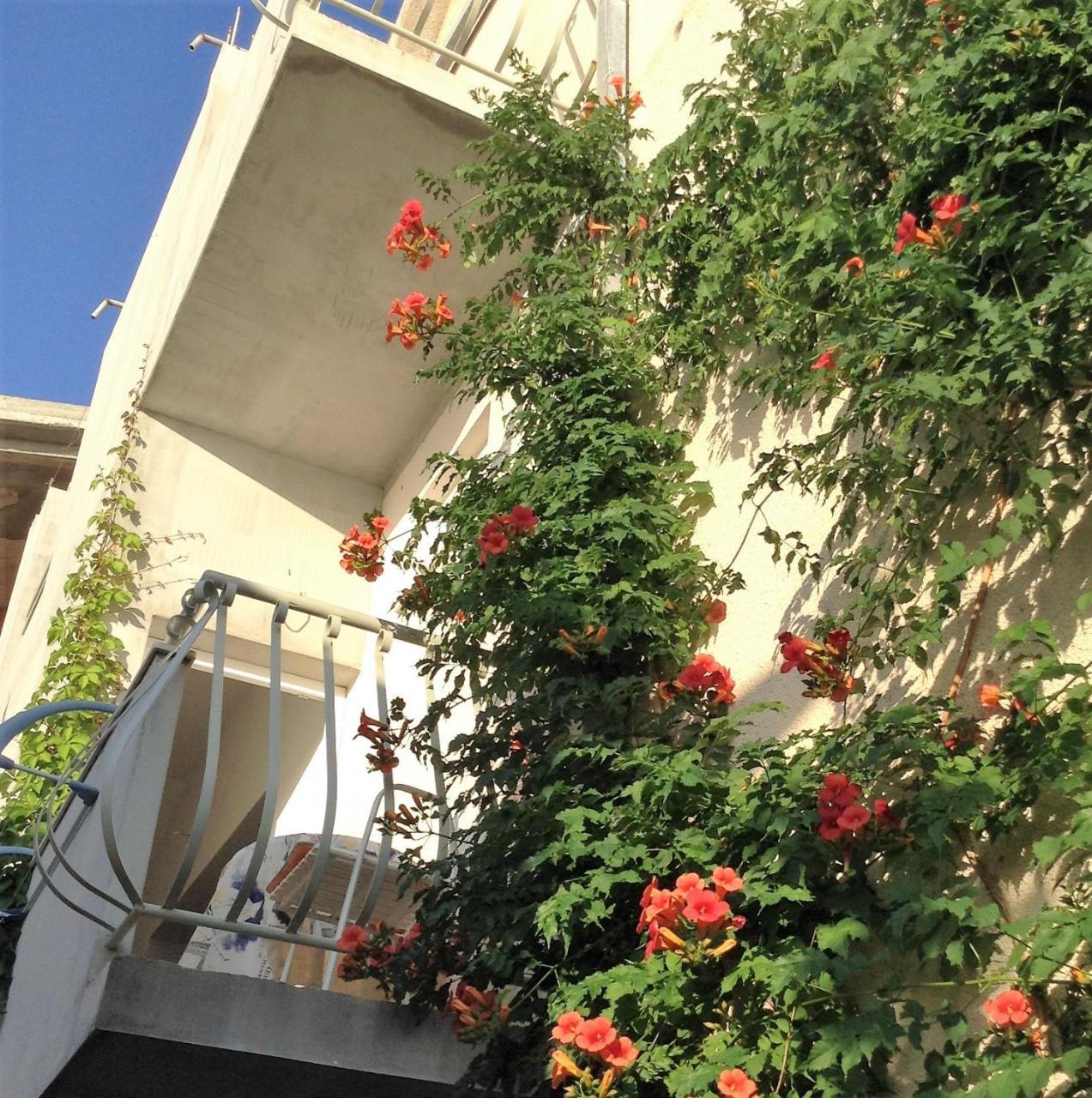 Apartments Leut Drašnice Chambre photo